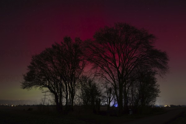Northern lights (aurora borealis) glow red and green in the evening sky over Germany, Frankfurt am Main, Hesse, Germany