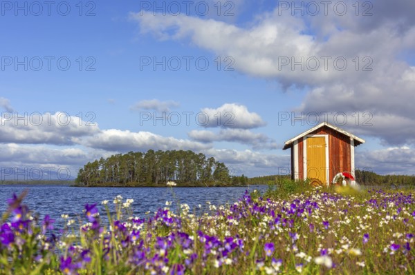 Colourful wildflowers and boathouse on the island Norderön in lake Storsjön in spring, Jämtland, Sweden, Scandinavia