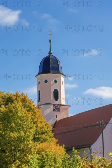 Roman Catholic parish church of St. Martin, baroque hall church from 1717—19, design by Franz Beer, religious building, church church, church tower, bell dome, trees with autumn colors, colorful leaves, blue sky, clouds, high plateau above the Albtrauf, Großengstingen, municipality of Engstingen, district of Reutlingen, Swabian Alb, Baden-Württemberg, Germany