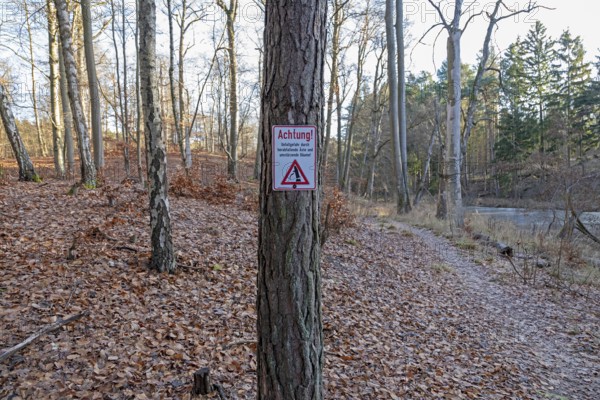Warning sign warns of risk of accidents due to falling branches and falling trees, forest area near Spechthausen, Brandenburg, Germany