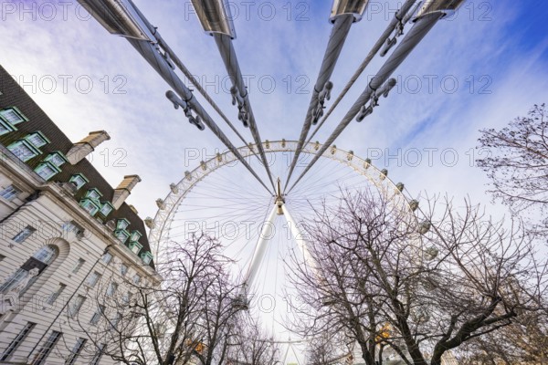 Unusual perspective of a Ferris wheel with trees and sky, London Eye, London, United Kingdom