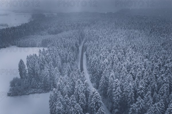Snowy road and forests under a grey sky, Hörschweiler, Freudenstadt district, Germany