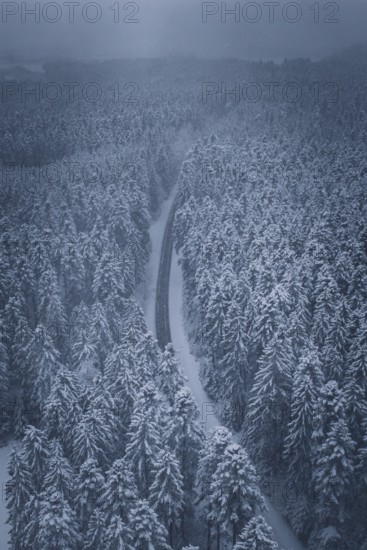 Long, snowy road in a thick winter forest, Hörschweiler, Freudenstadt district, Germany