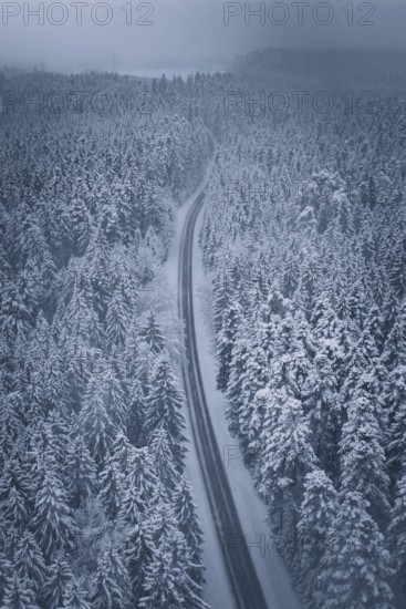 Snowy road snaking through a thick forest, Hörschweiler, Freudenstadt district, Germany
