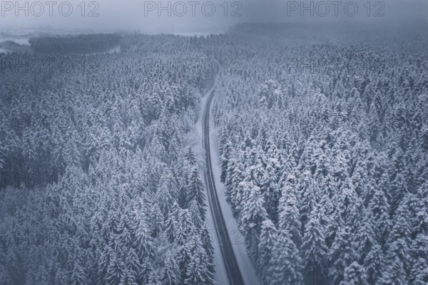 Snow-covered road through vast forest under grey sky, Hörschweiler, Freudenstadt district, Germany