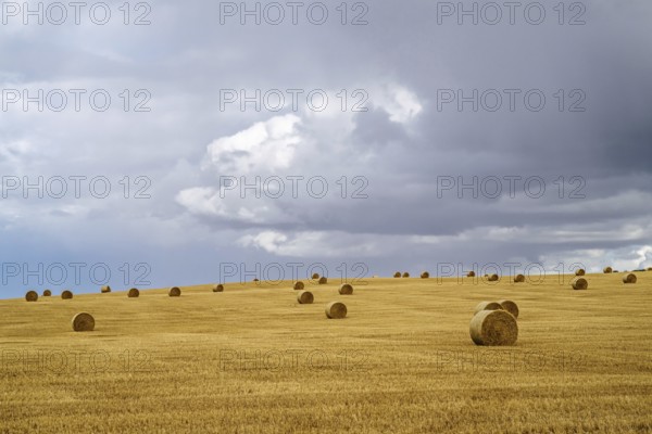 Straw bales on the Scottish fields, Southeast Scotland, UK