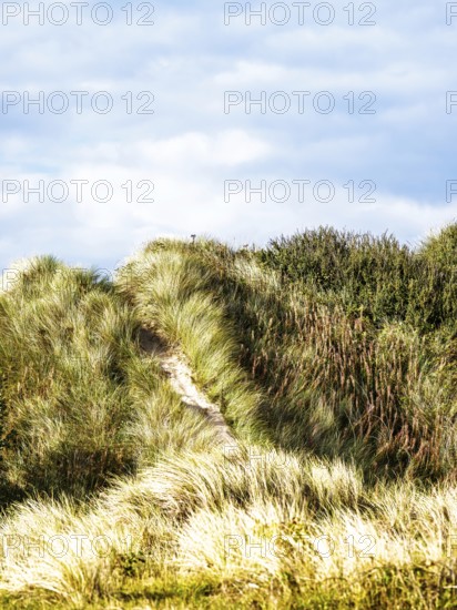 Dunes over Bamburgh Castle, Northumberland, Northeast Coast, England, UK