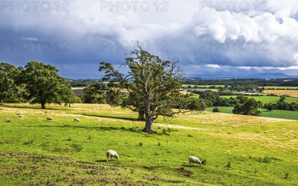 Farms over House of the Binns, Linlithgow, Scotland, UK