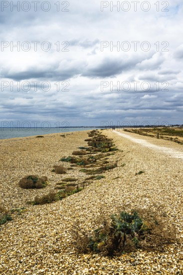 Beach over Hurst Spit, Milford on Sea, Lymington, Hampshire, UK