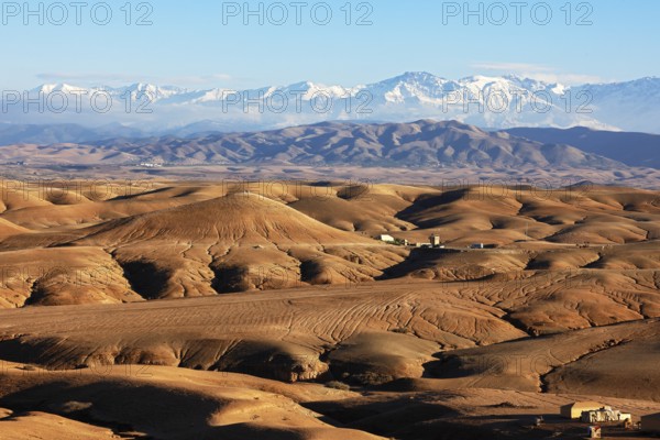 Agafay desert, rocky desert, snow-covered Atlas Mountains behind, near Marrakesh, Morocco