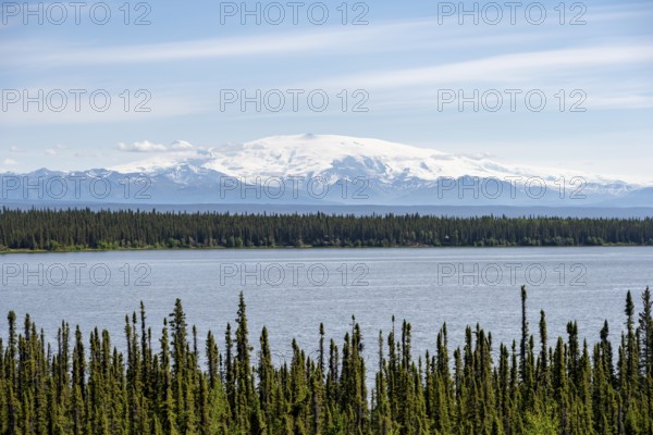 Lake Willow Lake, taiga landscape with high glaciated mountain peak Mount Wrangell, Wrangell Mountains, Alaska, USA