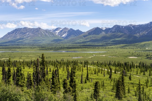 Taiga and tundra in front of mountain landscape, picturesque landscape, Glenn Highway, Alaska, USA