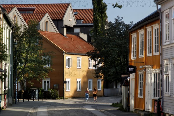 Charming wooden houses along the road in the sun, Trondheim, Trøndelag, Norway