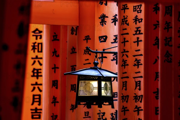 Torii avenue at Fushimi Inari Shrine in Kyoto with red arches, Kyoto, Japan