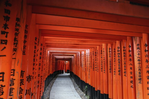 Seemingly endless torii avenue at Fushimi Inari Shrine, Kyoto, Japan
