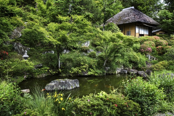 Lush garden in Higashiyama with traditional Japanese building and pond, Kyoto, Japan
