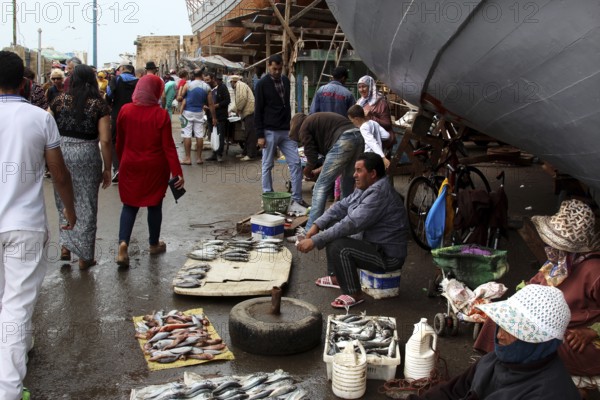 Street vendors sell fish products along the port in Essaouira, Essaouira, Morocco