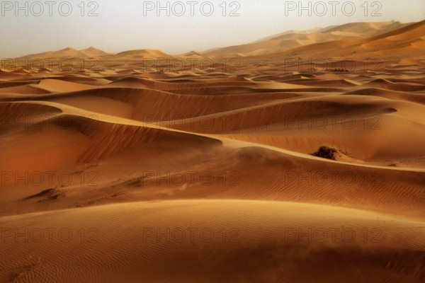 Extensive sand dunes in bright orange stretch to the horizon, Erg Chebbi, Morocco