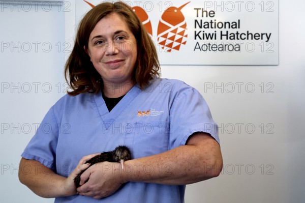 Woman in blue apron carefully holding a small kiwi chick, Rotorua, Bay of Plenty, New Zealand