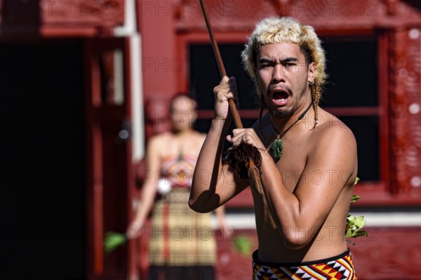 Maori man with strong expression at a welcoming ceremony in Rotorua, Rotorua, Bay of Plenty, New Zealand