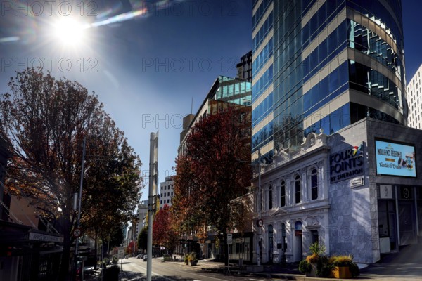 Sunny view of Queen Street with skyscrapers and colorful autumn trees, Auckland, New Zealand