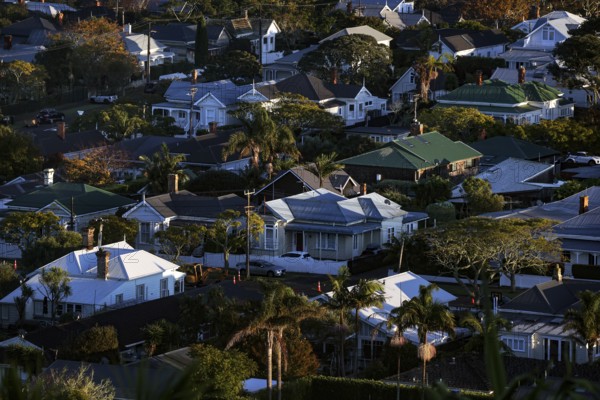 Devonport residential area with single-family homes and green surroundings, Auckland, null, New Zealand