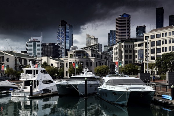Yachts in Viaduct Harbour in front of the impressive skyline of Auckland, Auckland, region, New Zealand