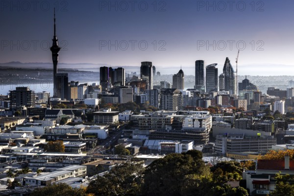 View of the Auckland skyline from Mt Eden with the sea in the background, Auckland, New Zealand