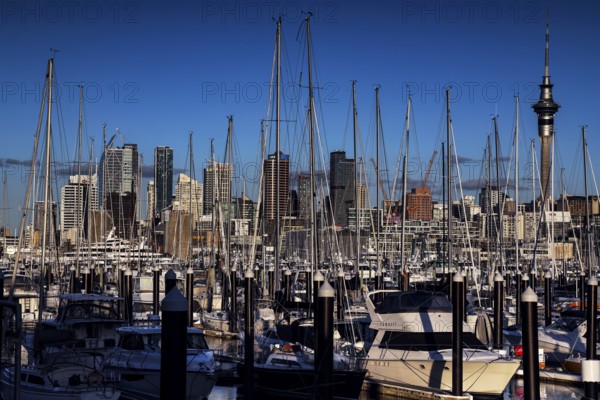 Westhaven marina with numerous sailboats in front of the skyline, Auckland, null, New Zealand