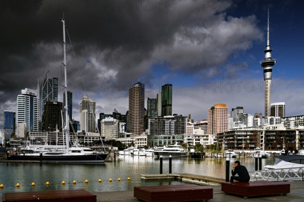 View of Viaduct Harbour with skyscrapers and sailboats in the foreground, Auckland, zero, New Zealand
