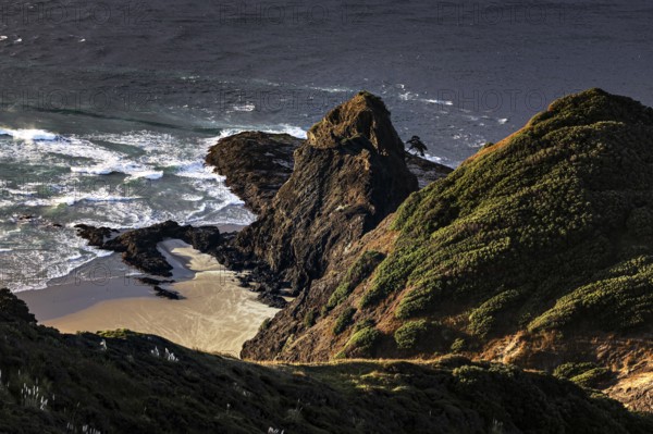 Impressive coastline with rocks and Pohutukawa tree near Cape Reinga, Cape Reinga, New Zealand