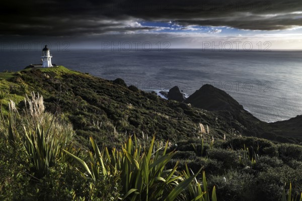 Lush coastal landscape near Cape Reinga with lighthouse and cloudscape, Cape Reinga, Northland, New Zealand