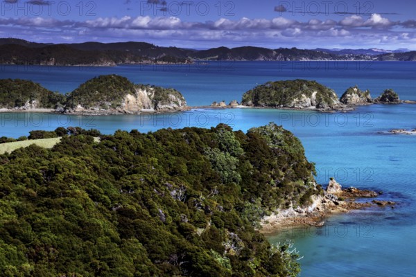 Lush vegetation and deep blue water characterize the landscape of Otehai Bay, Otehai Bay, Bay of Islands, New Zealand
