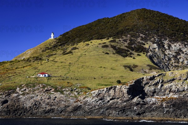 A lighthouse stands on a green hill overlooking the coastline of Cape Brett, Cape Brett, Bay of Islands, New Zealand