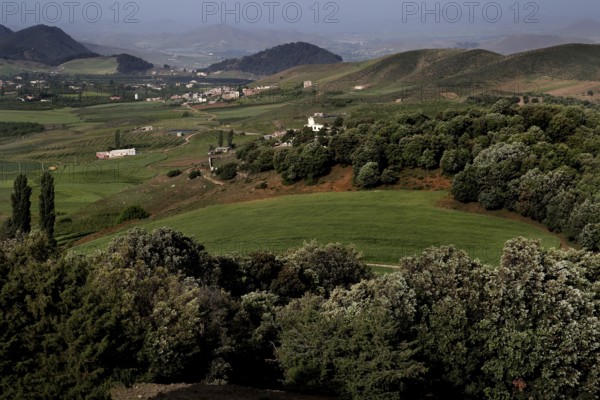 View of a green, hilly landscape full of trees near Azrou, Azrou, Fès-Meknes region, Morocco