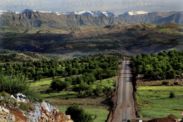 Panoramic view of a road leading through the green landscape of the High Atlas Mountains, Azilal, High Atlas, Morocco