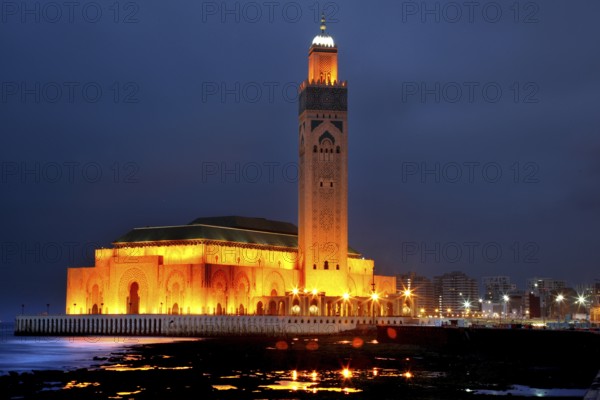 Beautifully illuminated mosque on the coast at night, Casablanca, Grand Casablanca, Morocco