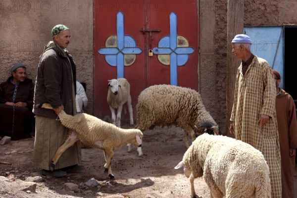 Market scene in Achaouikh with men and sheep in front of a colorful gate, zero