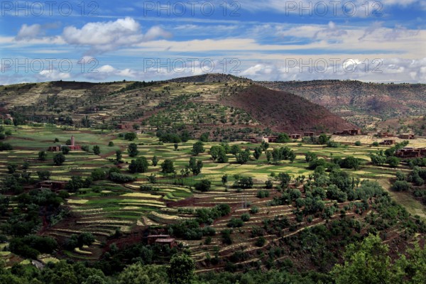 Terraced fields in a hilly landscape of the High Atlas Mountains under wide skies, zero