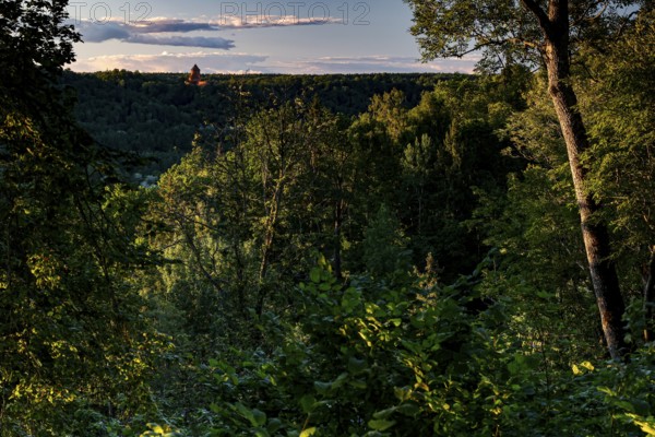 Dense forests in Gauja National Park with Turaida Castle on the horizon, Turaida, Latvia