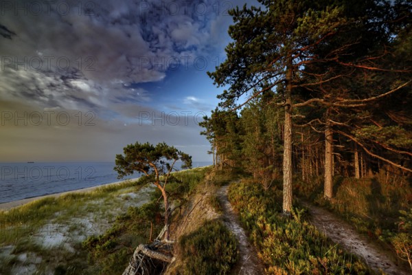 Forest covers ocean dunes under a dramatic sky in Kolka, Kolka, Latvia