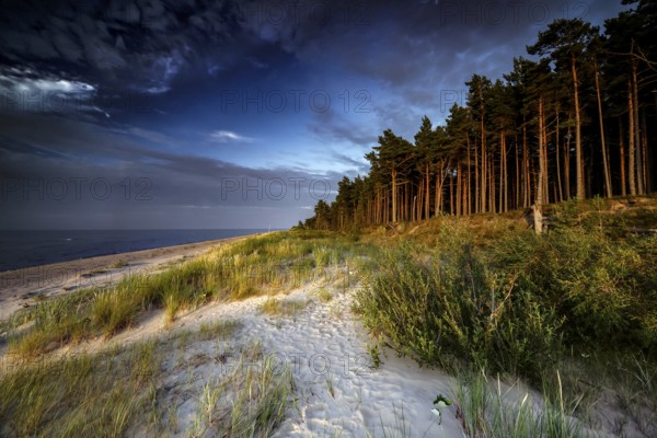 Dunes with forest on the beach under cloudy sky in Kolka, Kolka, Latvia