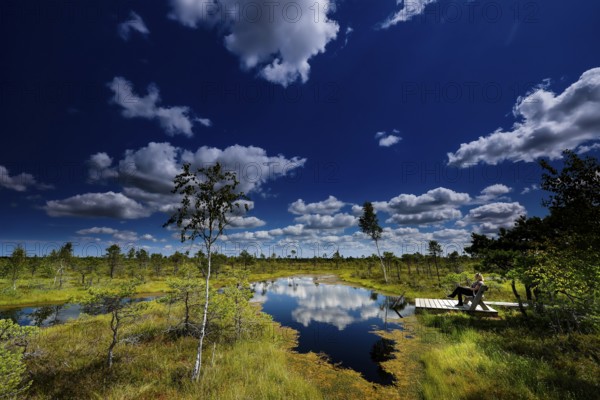 Wide swamp landscape in Kemeri National Park with reflecting water, Kemeri National Park, Latvia
