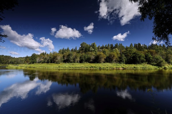 Tranquility of the Gauja with reflecting water surface and green surroundings, Ligatne, Gauja National Park, Latvia