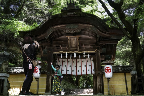 Small shrine in the green forest of Kotohira, Kotohira, Japan