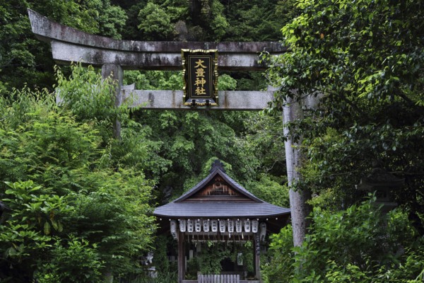 Otoyo shrine with torii along the Philosopher's Trail in Kyoto, surrounded by lush nature, Kyoto, Okazaki, Japan