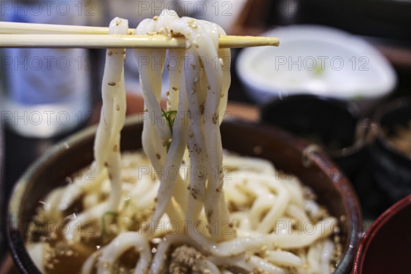Smoking udong noodles are pulled out of a bowl with chopsticks, Okazaki, Kyoto, Japan