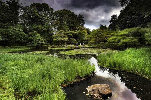 Peaceful garden with thick green vegetation and streams under a sky, Kyoto, Okazaki, Japan