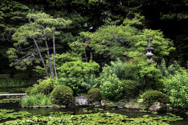 Dense garden with traditional elements in the green jungle of nature, Kyoto, Okazaki, Japan