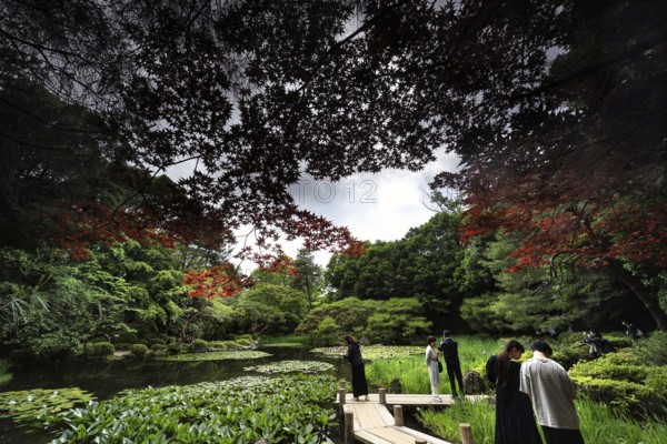 People on a zigzag bridge in a colorful autumn garden, Kyoto, Okazaki, Japan